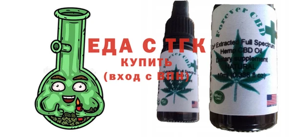 индика Ельня